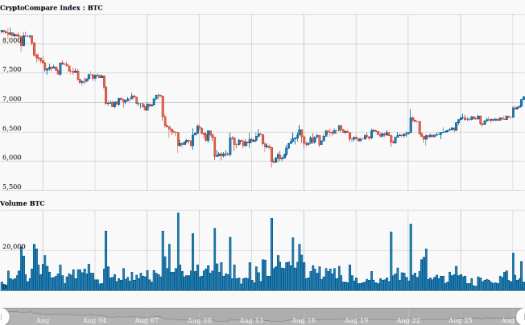 0_1535464933291_hour_CryptoCompare_Index_BTC_USD_241_31535464680427.png